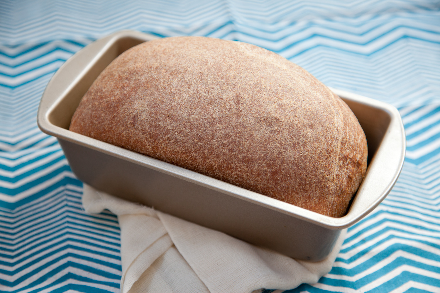 Whole Wheat Bread (with Homemade Whole Wheat Flour)