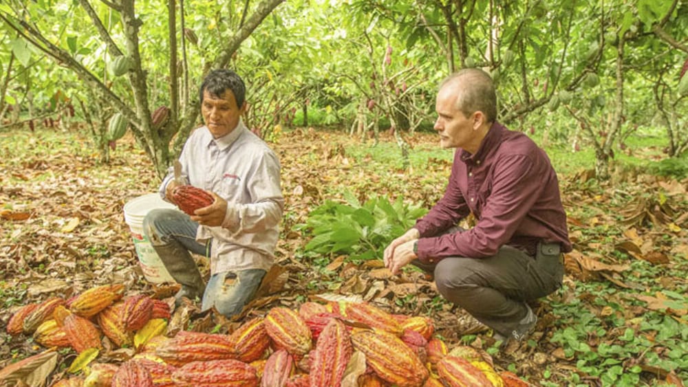 Raw Organic Cacao