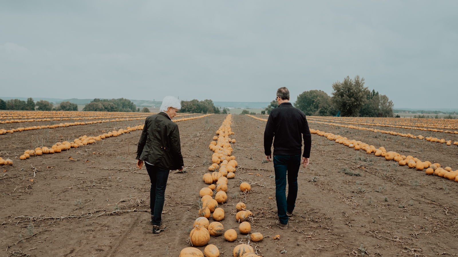 Two farmers walking in a pumpkin patch