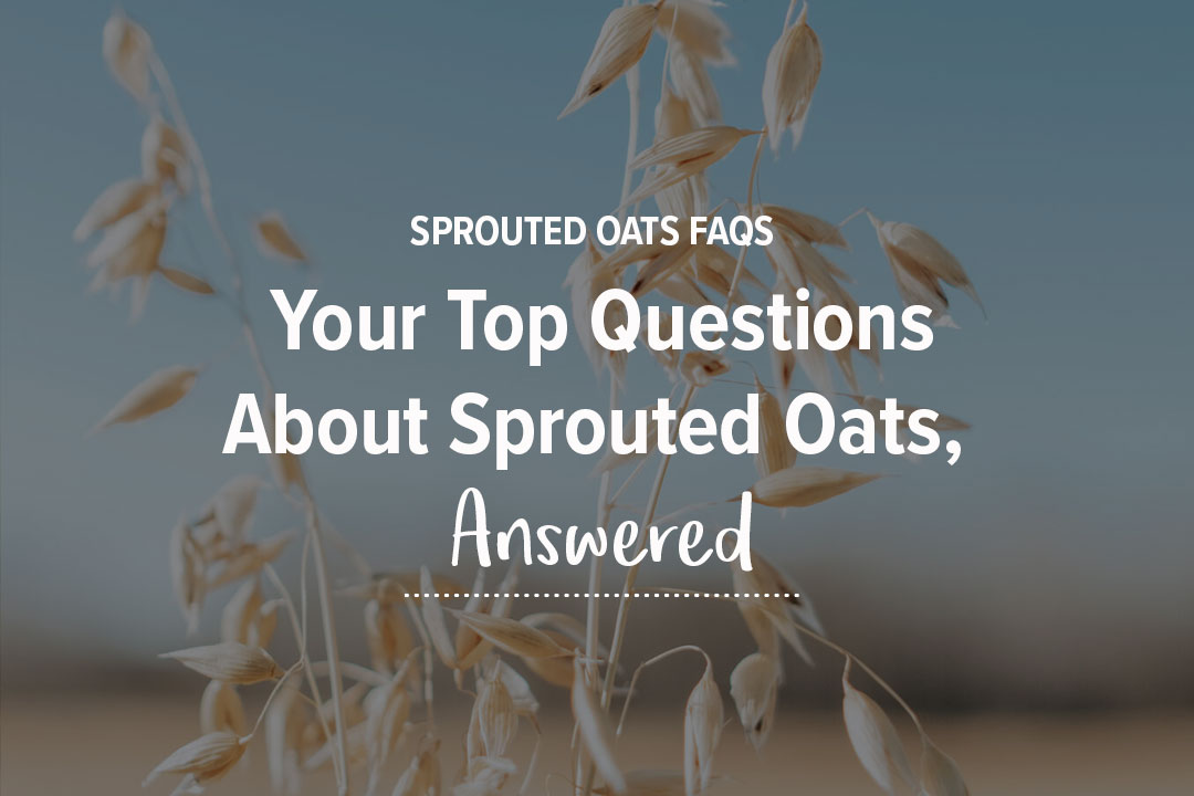 Questions & Answers About Sprouted Oats