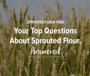 Questions & Answers About Sprouted Flour