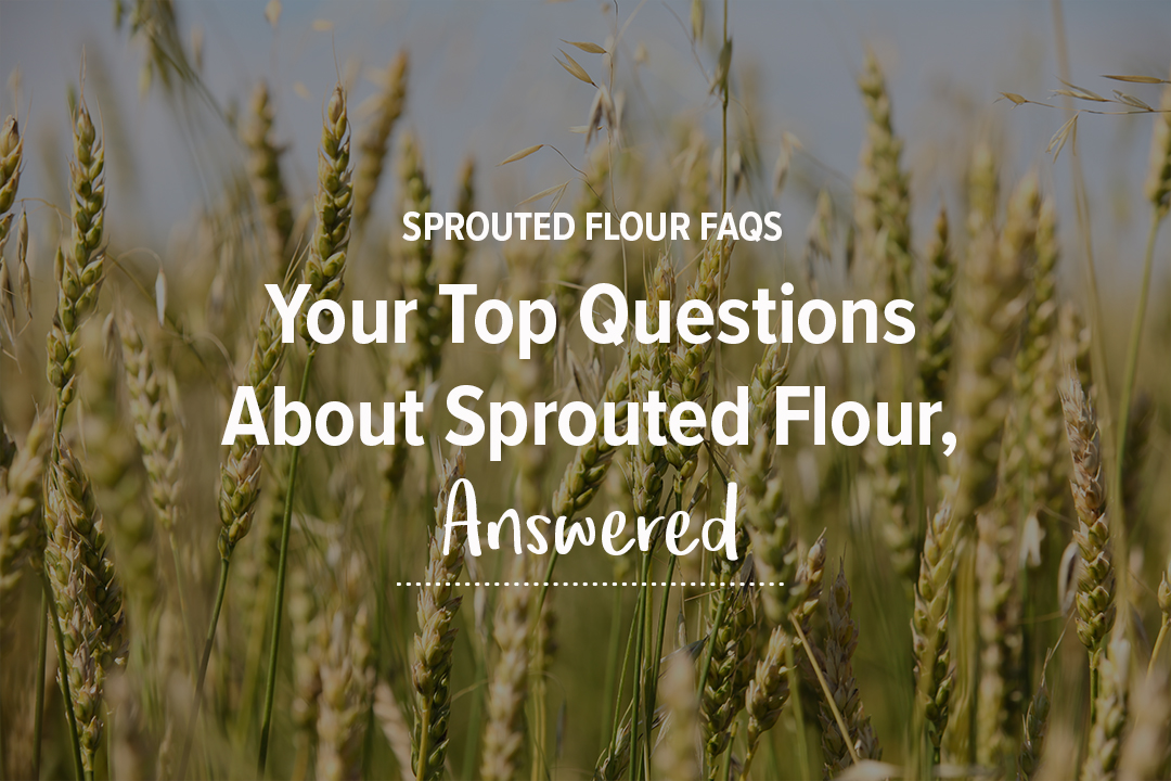 Questions & Answers About Sprouted Flour