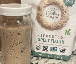 Sprouted Spelt Flour Starter